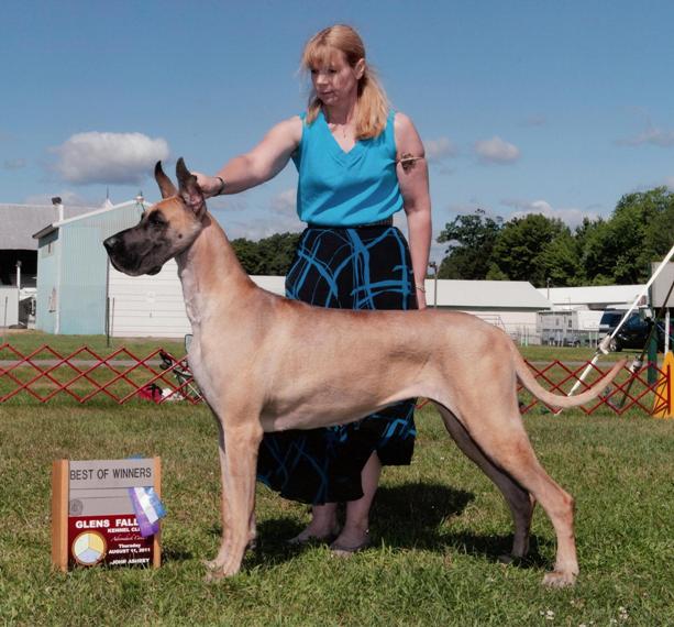 Benni Best of  Winners