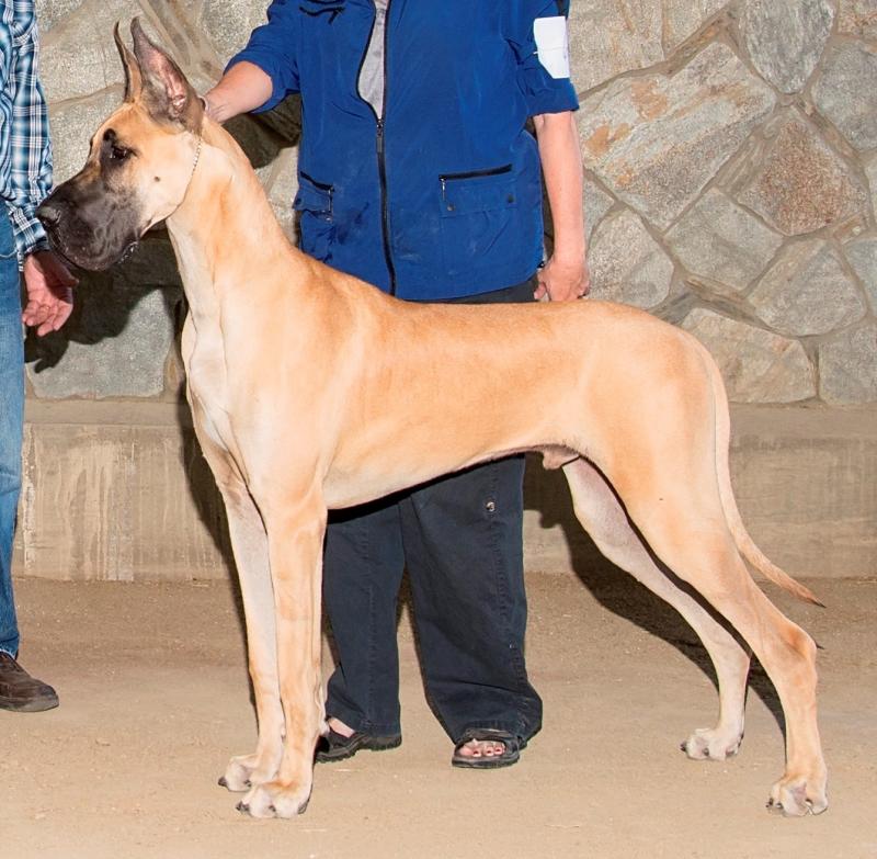 Zephyr-Best in Match